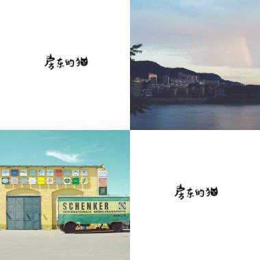 房東的貓