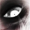 Dailey給的