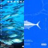 魚魚歌單?