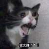 讀書ㄌ啦?