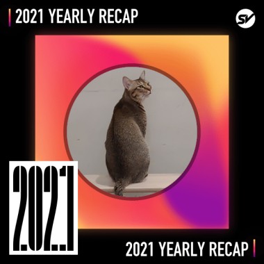 2021 個人年度精選之最