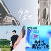 我的歌單 8