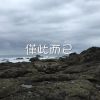 僅此而已