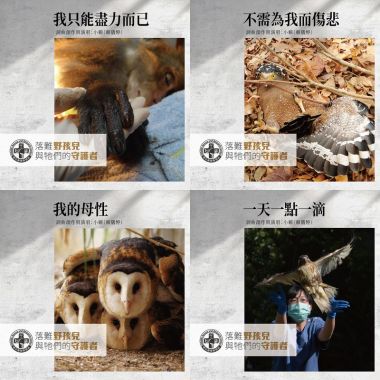 野生動物急救站