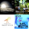 理想混蛋