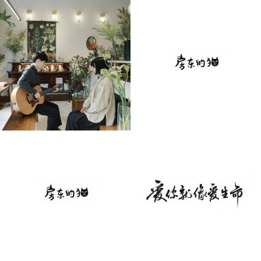 房東的貓