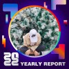 2022 個人年度精選
