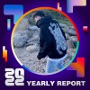 2022 個人年度精選