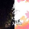 理想混蛋