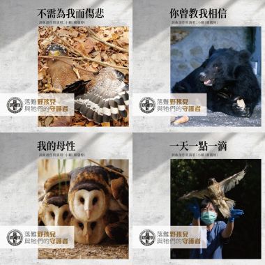 可以无限循环听的超好好听歌曲