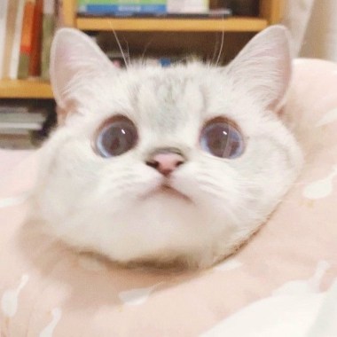 自由