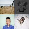 Like