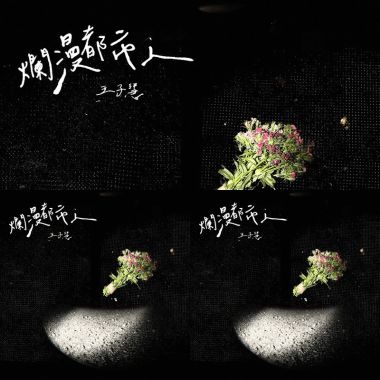王子慧💐