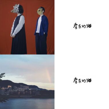房東的貓