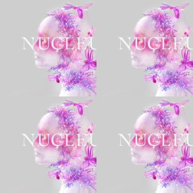 《核 Nucleus》
