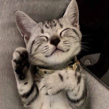 睡給你看