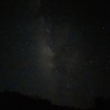 夜間限定