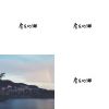 房東的貓