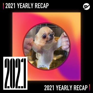 2021 個人年度精選之最