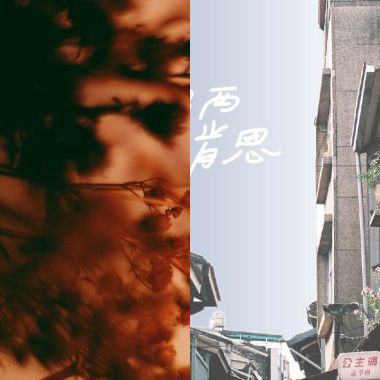 配狗影片