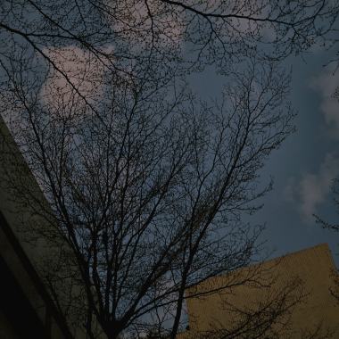 22_