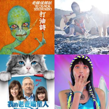 222貓貓日