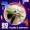 2022 個人年度精選