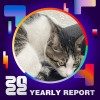 2022 個人年度精選