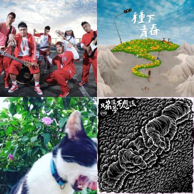我的歌單 5