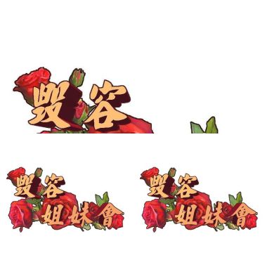 毀容姐妹會