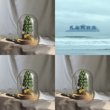 Peter's Work