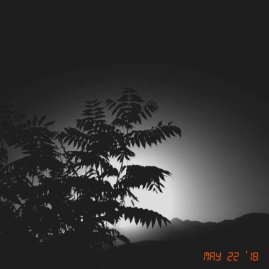 你好吗