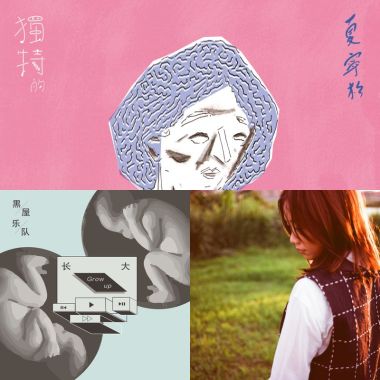 慵懒的午后，一只猫，一本书，一盏清茶，足已。