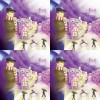 風迷藏Wind Evasion
