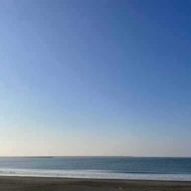 张震岳