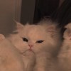 下班