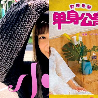 吉娃娃