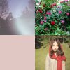 洪安妮的静歌宝典