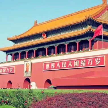 不摇就滚
