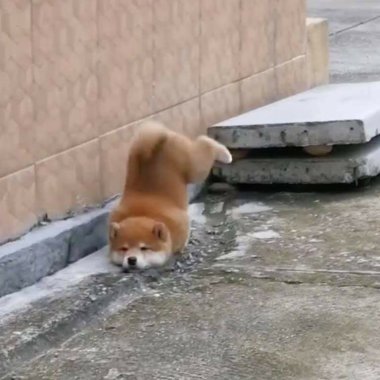 ㄏ聽