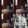 PIA清耀悠揚