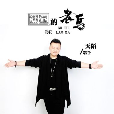 迷途的老马