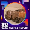 2022 個人年度精選