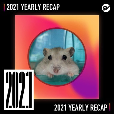 2021 個人年度精選之最