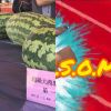 緋嗨