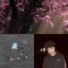 卡比獸