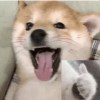 ?