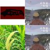 我的歌單 好聽