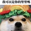 小哥哥