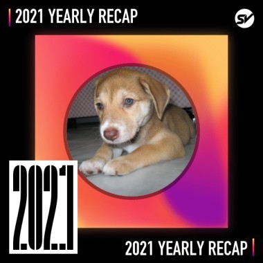 2021 個人年度精選之最